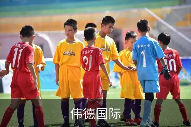 伟德国际企业介绍